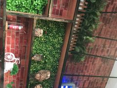 -煊记潮汕牛肉火锅(钱桥店)