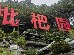 -枇杷园食为鲜火锅(南山店)