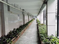 -莲花体育中心