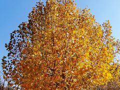 -天津东丽湖风景区