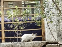 -张家港金凤凰度假村温泉