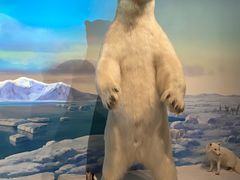 -陕西自然博物馆