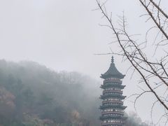 -牛首山文化旅游区