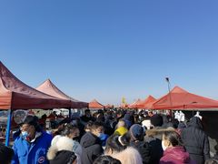 -蒲河大集