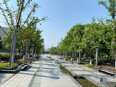 -处州公园