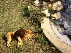 -石家庄市动物园