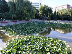 -素心斋素食餐厅