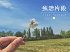 -朝阳公园