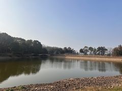 -象山森林公园