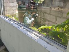 -东湖小天池真人CS彩弹野战基地