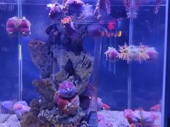 -太平洋海底世界