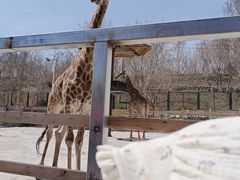 -水上乐园·欢乐世界