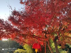 -穹窿山景区