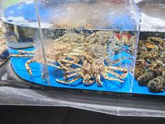 -徐记海鲜·宴会(大唐西市|丰庆店)