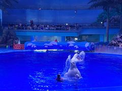 -海合安成都极地海洋公园