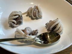 白灼望潮-新荣记(西溪湿地店)