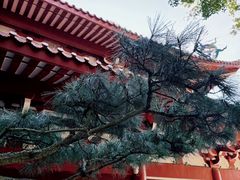 -莆田湄洲妈祖祖庙