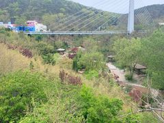 景点-大连森林动物园