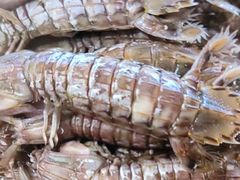 -赶海部落海鲜城(海阳路店)