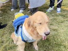 -上海神旺大酒店