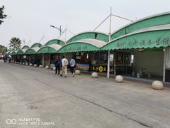 -大湾区中央湿地公园-十九涌
