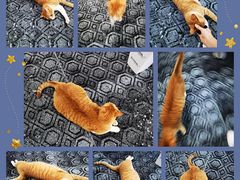 -蓝天射箭馆·专业射箭运动(诚丰广场店)