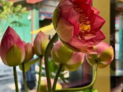 -宫事颐庭·老佛爷贵寿下午茶(颐和园店)