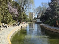 -团结湖公园