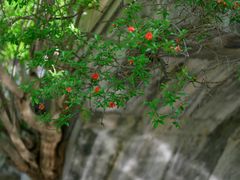 -练塘古镇
