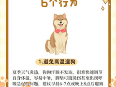 -瑞派申生动物医院·24H夜诊·国际动物医疗中心·骨外科(吴中路店)