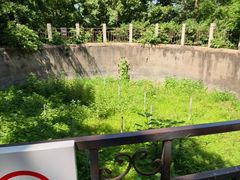 -北京鹫峰国家森林公园