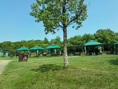 -上海都市菜园