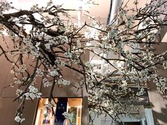 -梅花境(万科店)