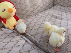 -兴芮温泉度假区