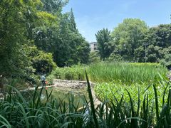 -成都市活水公园