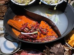 -阳阳老火锅(小南门店)