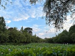 -月牙潭公园