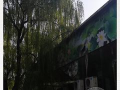 -莲湖公园