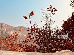 -周口店坡峰岭风景区