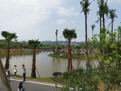 -枫香湖儿童公园