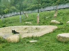 -西安秦岭野生动物园