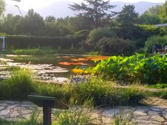 -国家植物园南园