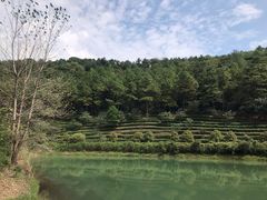 -九龙潭景区
