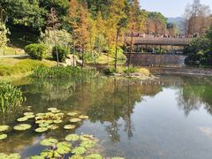 -云溪植物园