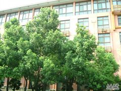 -金孔雀温泉旅游度假村