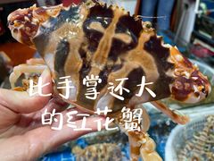-船奇蒸汽海鲜·闽菜(八市海鲜总店)
