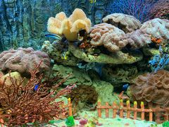 -北戴河圣蓝海洋公园