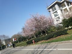 -晓庄学院-食堂