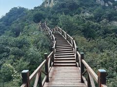 -大岭沟猕猴桃谷风景区