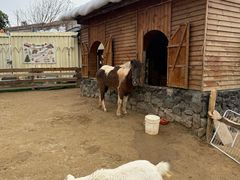 -HERRE·FARM 赫尔露营农场·团建聚会包场